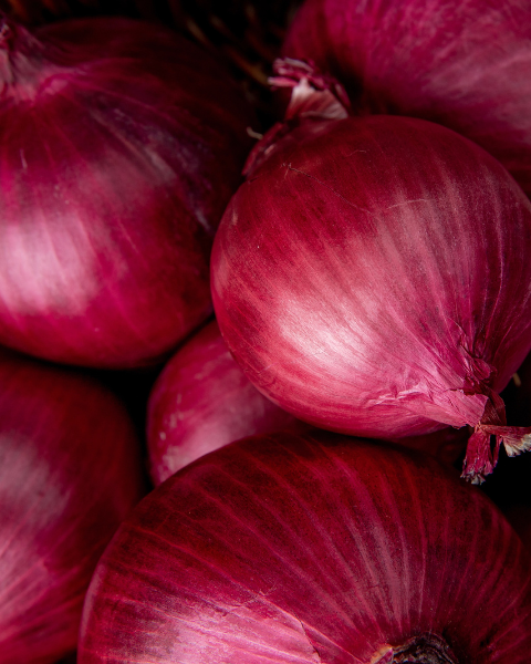  Onion